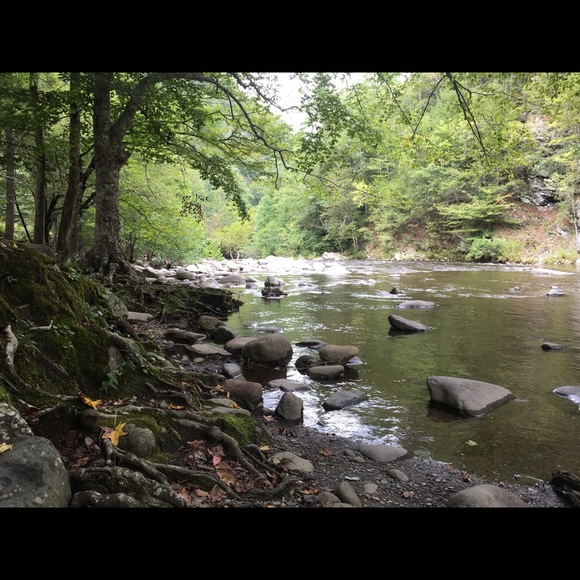 Meet your Posher, Stephanie - Picture 4 of 4